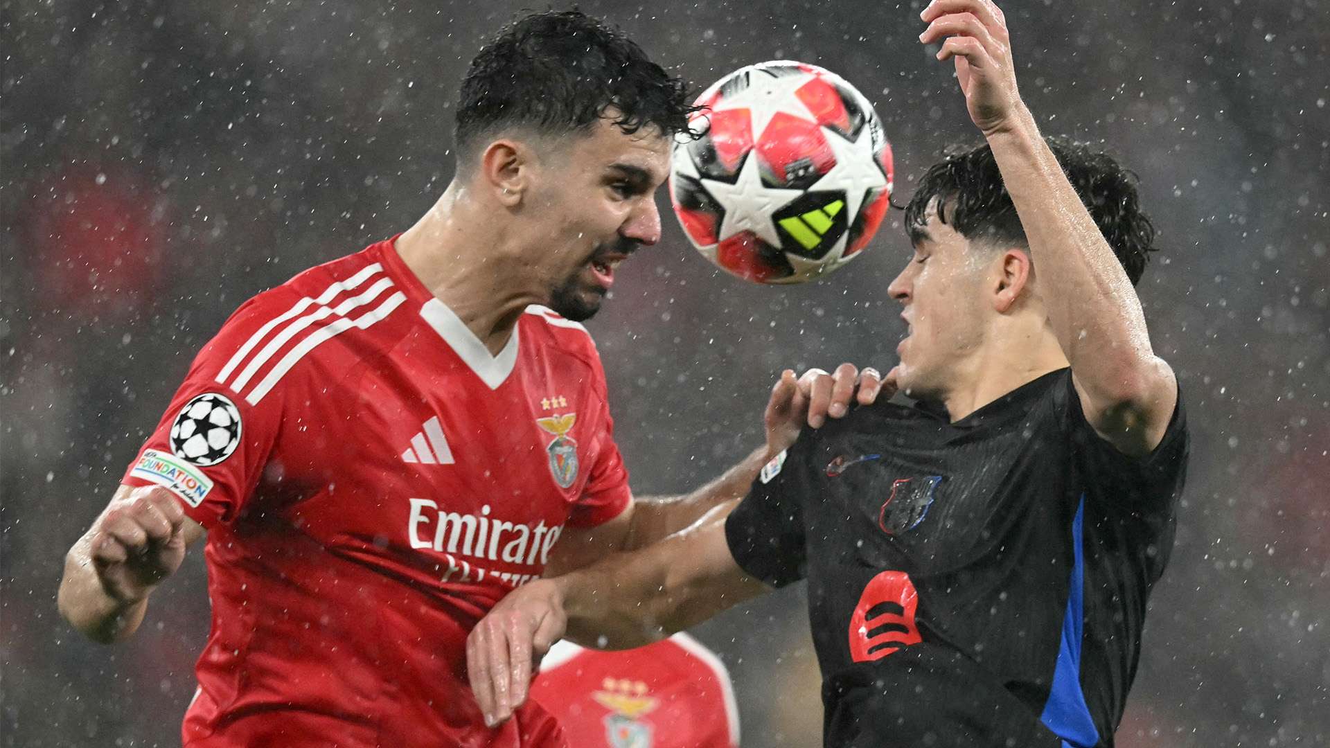 热血沸腾 热血沸腾